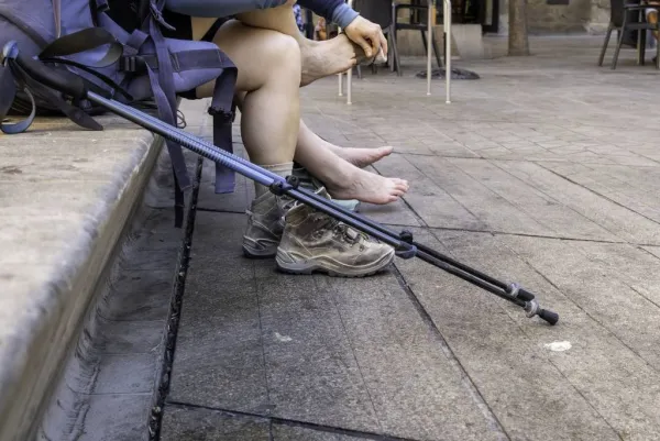 Imagen 0